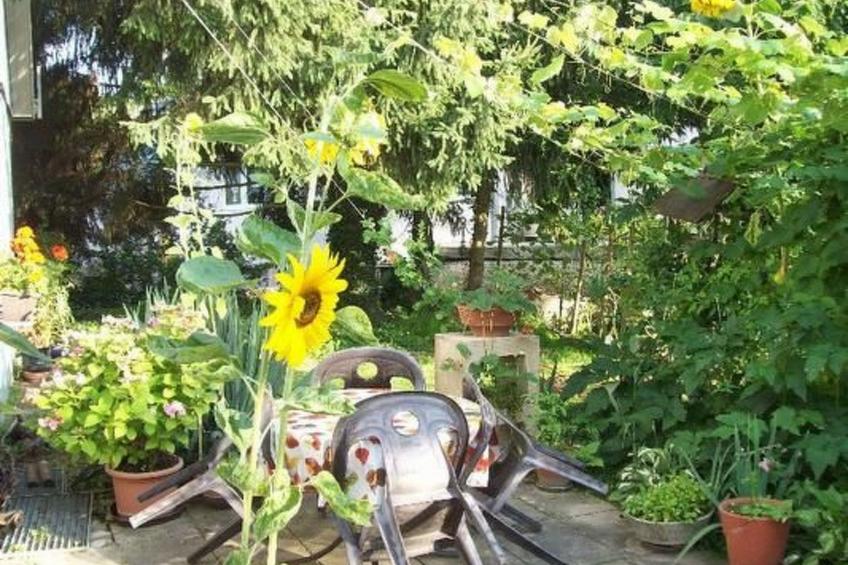 Appartement in Schelingen mit Garten und Grill - foto 9