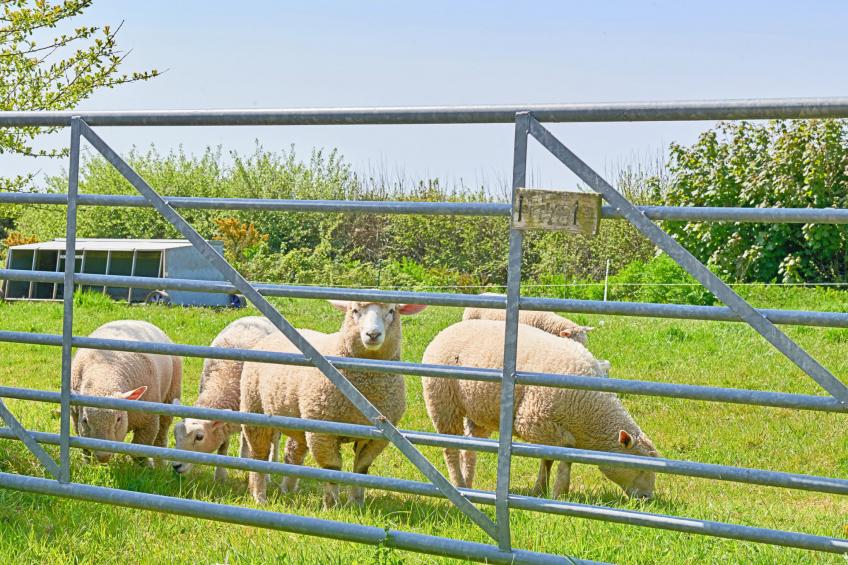 Hawthorn Barn - foto 21