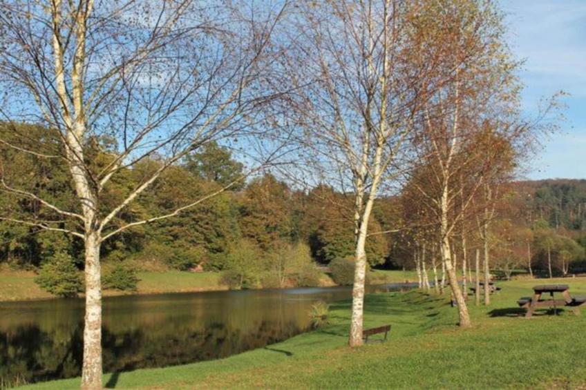 Gîte du Crâ - foto 33