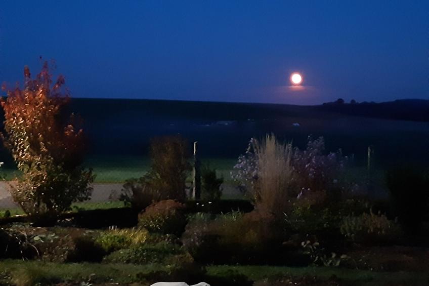 Fh Kimmelsbacher Hof - foto 71