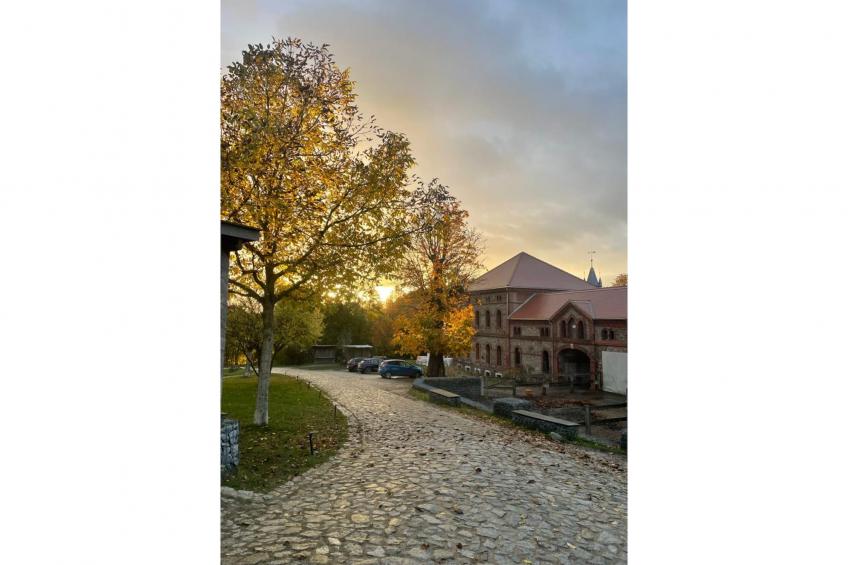 221 4P Immer - foto 9