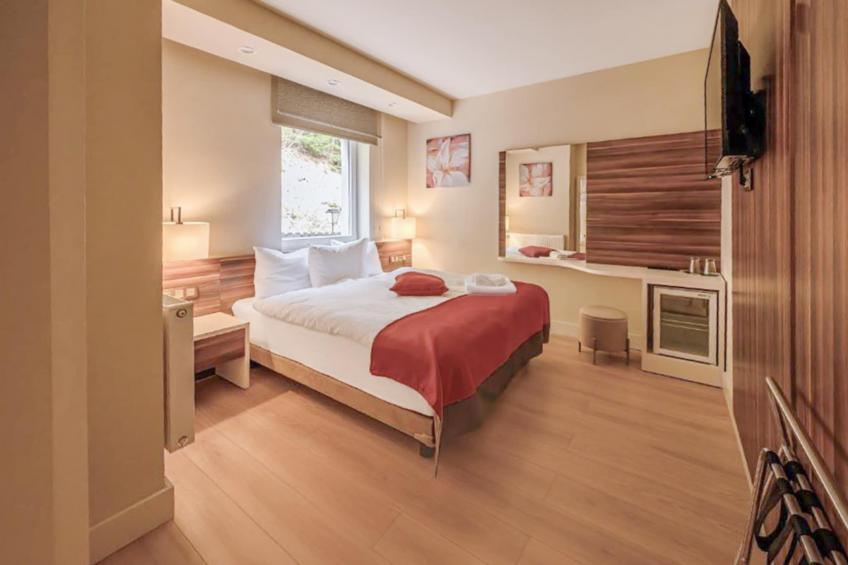 Schwarzbachtal - Double room Forest and Mountain View With balcony - foto 6