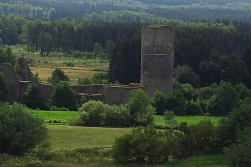 Naturblick - foto 19