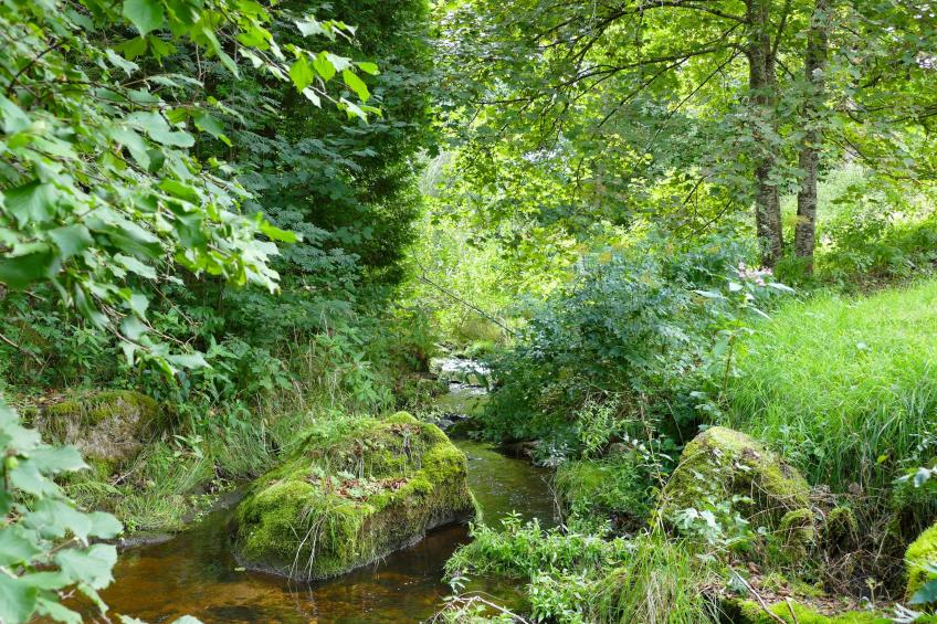 Alte Muehle - foto 21