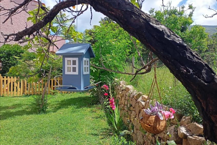 Villa Ontanelli - foto 36