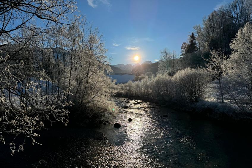 Zwinglis Fewo Klärli - foto 15