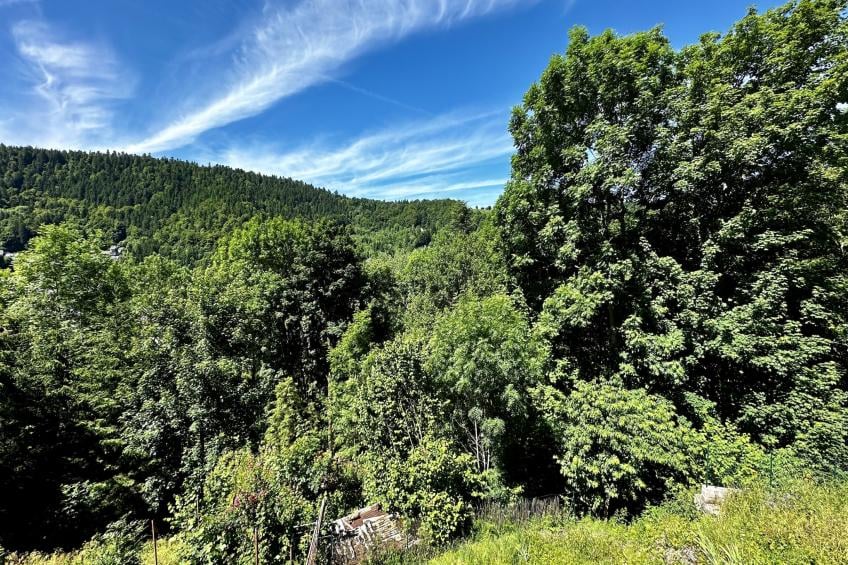 Le Rocher - Le Mont Dore 6 pers - foto 15