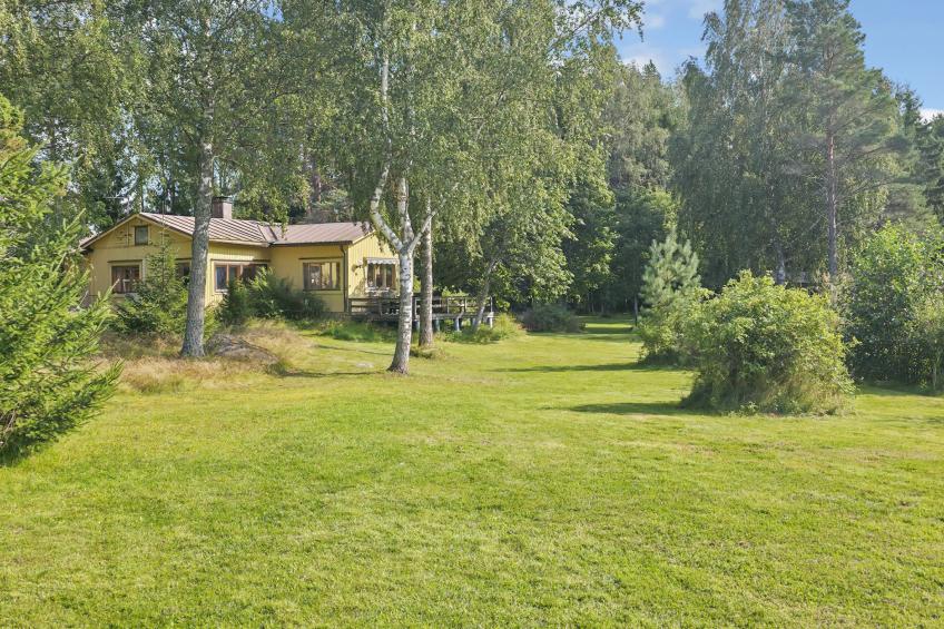 Merenkurkku - foto 26