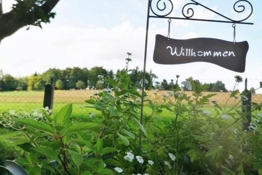 in Bad Brambach mit Großer Terrasse - foto 17