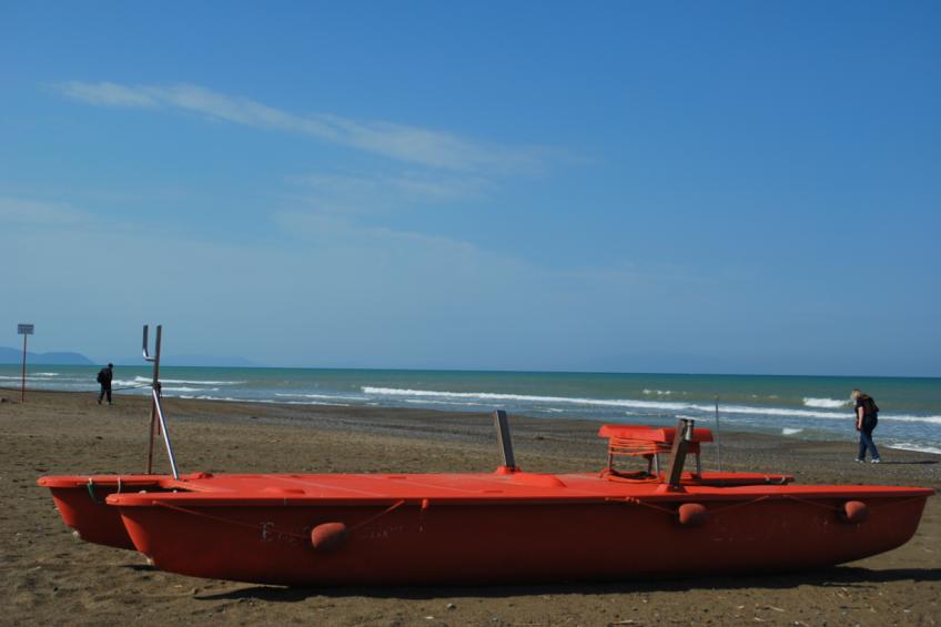Murex - foto 16