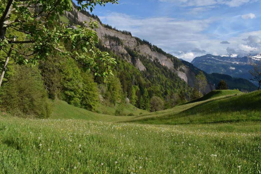 Mountain Nature Stay - foto 19