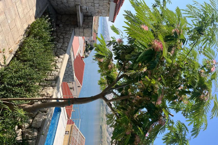 Villa Dražica mit beheiztem Pool - ruhige Lage - foto 47