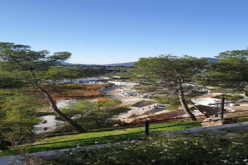 Cerro de la Cruz - foto 37