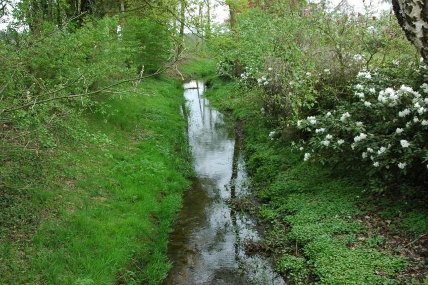Welskerveen - 4 personen - foto 34