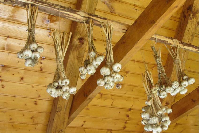 Geräumiges Ferienhaus inmitten der Natur - foto 16