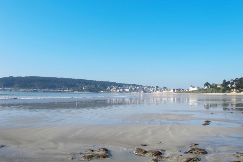 "Les Hortensias" (Die Hortensien) - foto 28