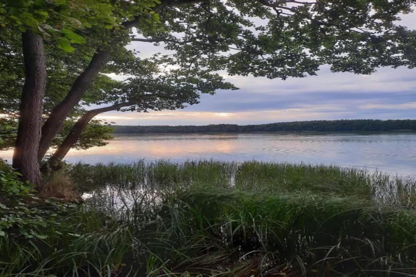 Schlafen unter Reet - Naturhof - Ahlbeck am Haff / Nr 1 - foto 25