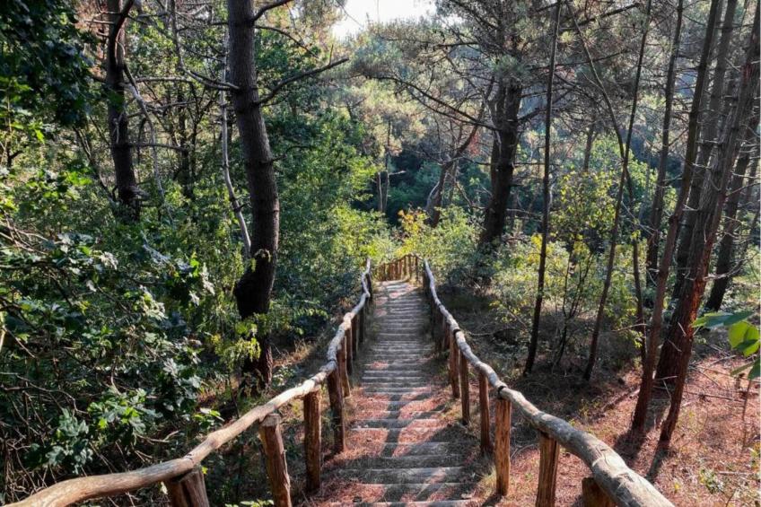 De Veldwachter - foto 32