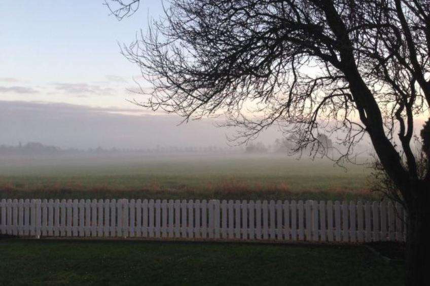 Polderwind mit Blick auf die Felder - foto 37