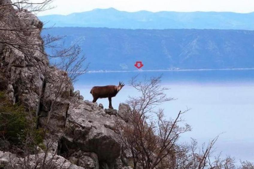 Haus Jakov direkt am Meer - Insel Hvar - foto 57