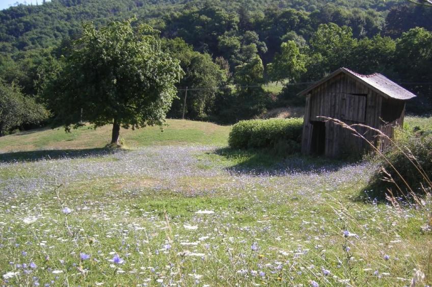 CasaMasa' Wohnung mit Bergblick - foto 38