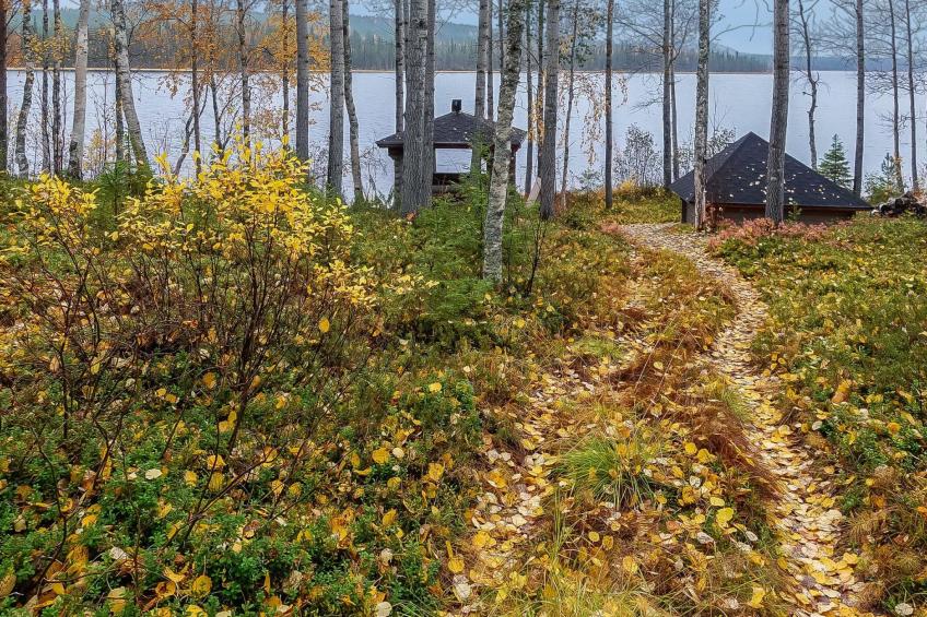 Lomaväinö 13 - foto 4