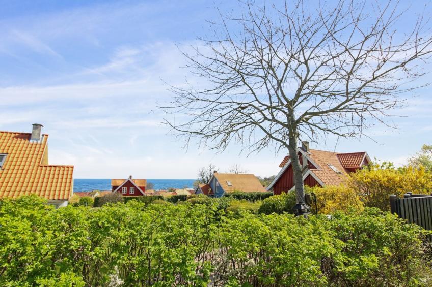 "Caranus" - 500m from the sea in Bornholm - foto 27