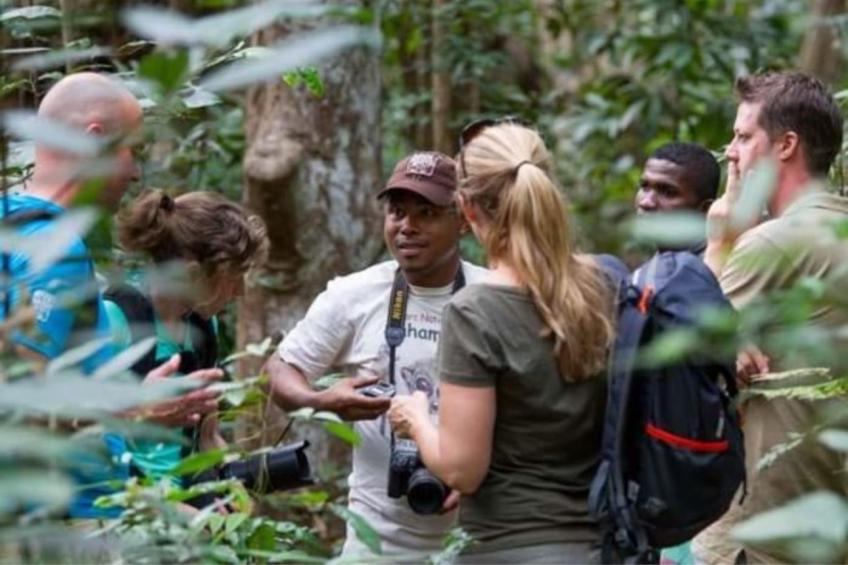 2 - 4-person Wilbrink chalet - foto 25