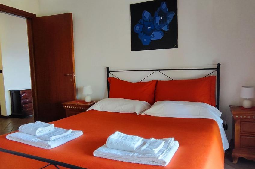 Vergissmeinnicht - foto 6