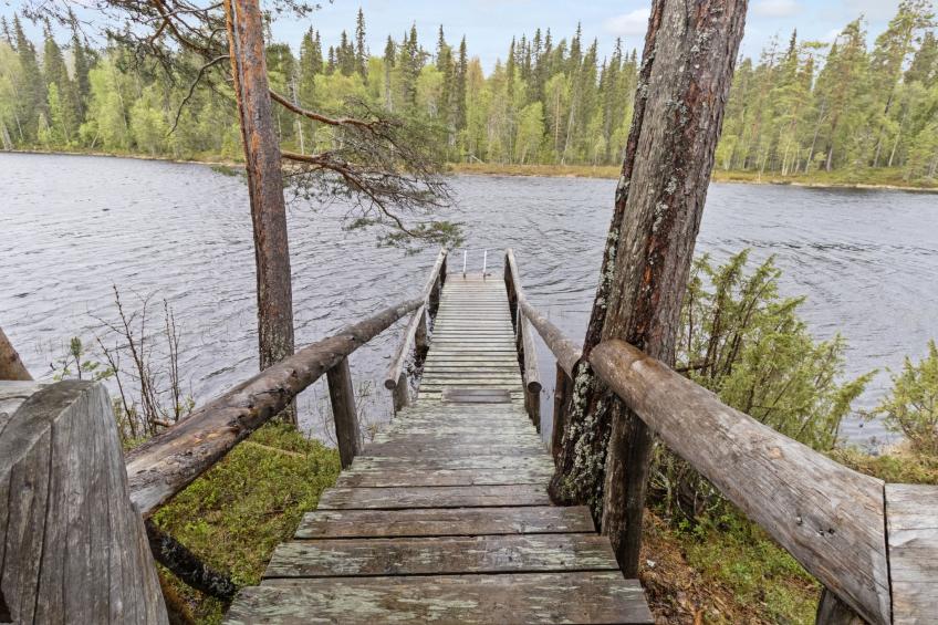 Metsä-luosto - foto 16