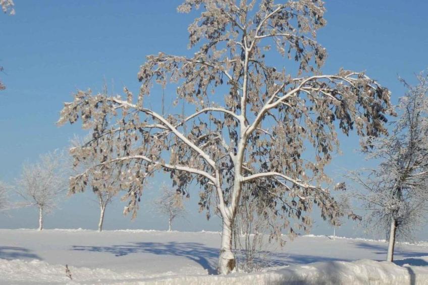 Obermühle - foto 33