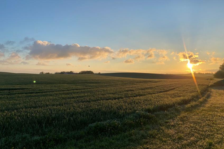 Fewo Albatross - foto 21