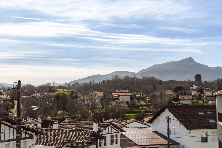 Barasteguia - foto 4