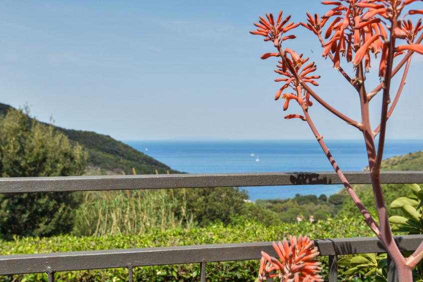 La Paradisa (NIP101) - foto 6