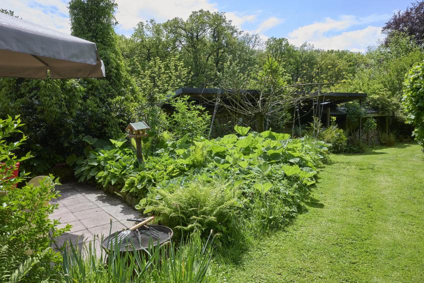 Wellnesshuisje Engelse Tuin - foto 50