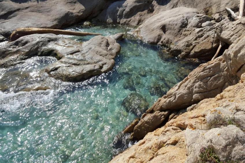 La Palmeraie - foto 23