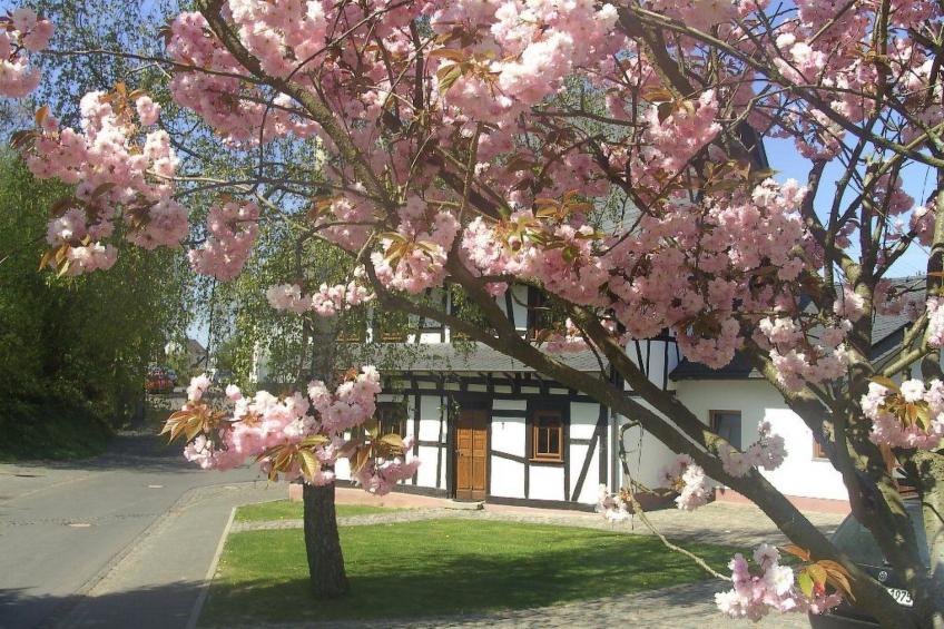 Romantisches Fachwerkhaus zwischen Rhein und Mosel