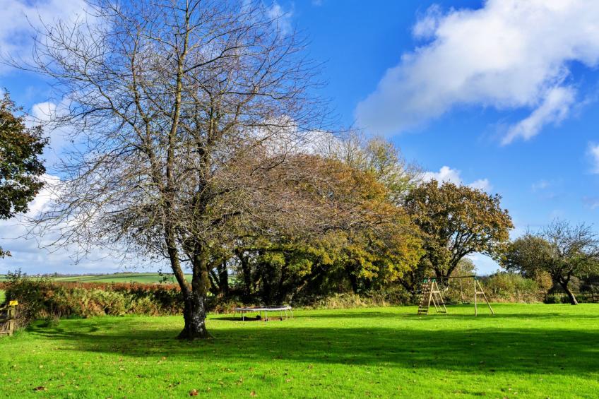 Halcyon Cottage, Stowford - foto 3