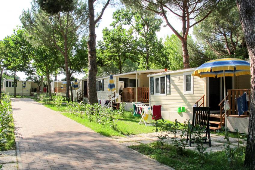 Camping Badiaccia (CDL160)