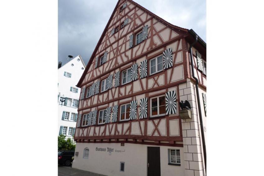 6546 - foto 37