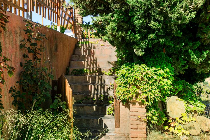 El Cerrillo - foto 20