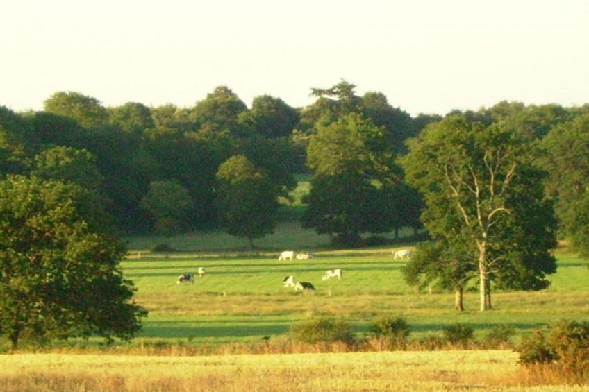 Résidence Le Domaine de l'Emeraude - foto 32