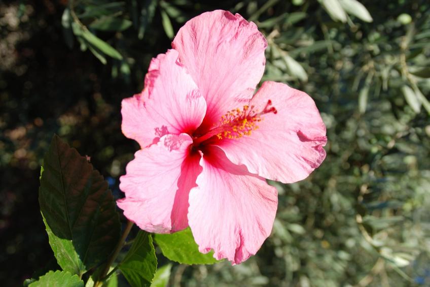 Cascadas de la Marina - foto 28