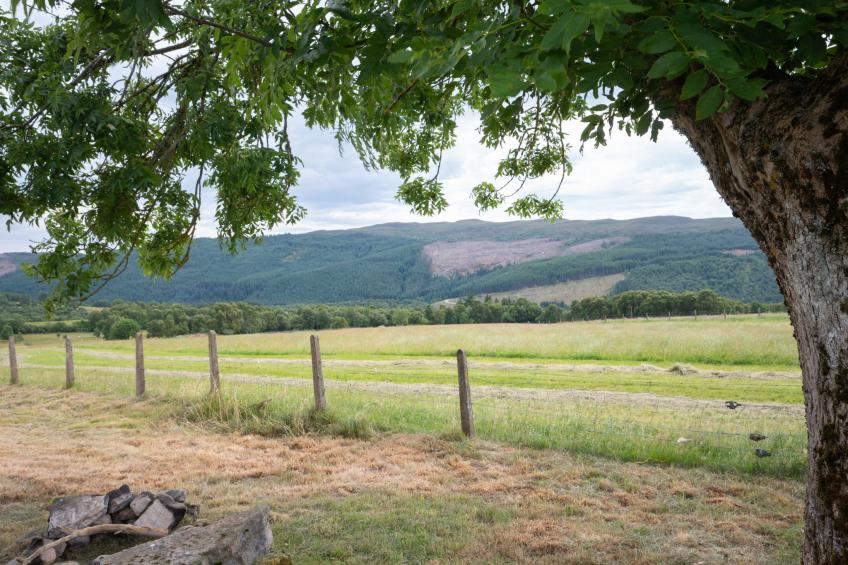 The Manor House - foto 34