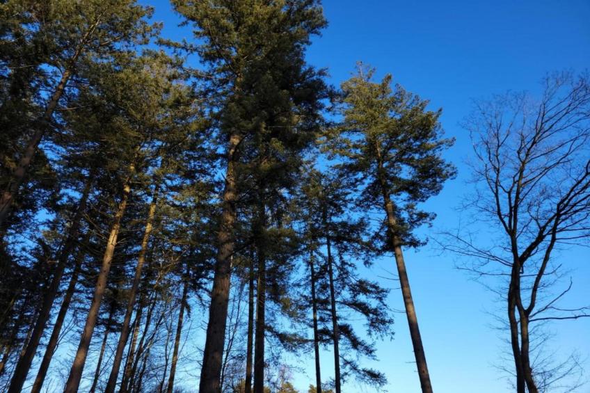 Buitenplaats Holten 17 - foto 27