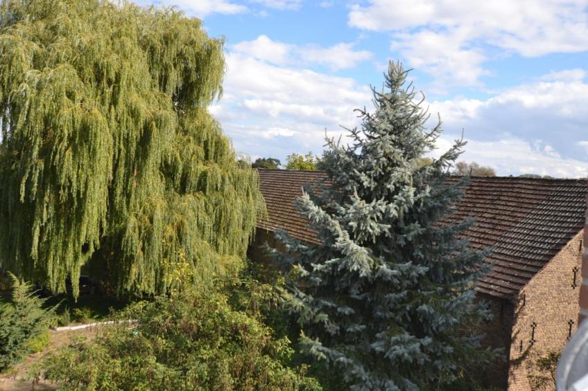 Großzügige Ferienwohnung mit Terrasse - foto 15