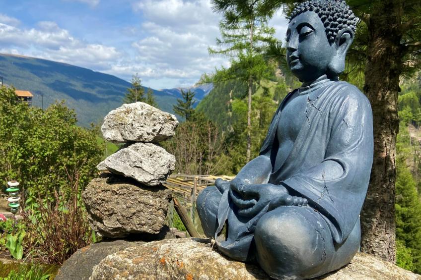 Cesa Vedla DOLOMITES - foto 19