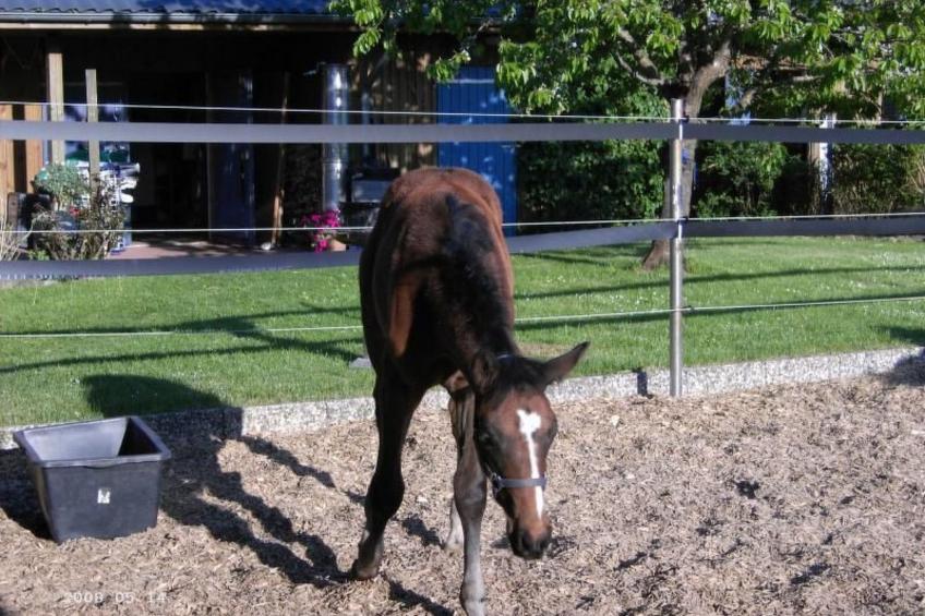 Westrich in guter Ausflugslage - foto 27