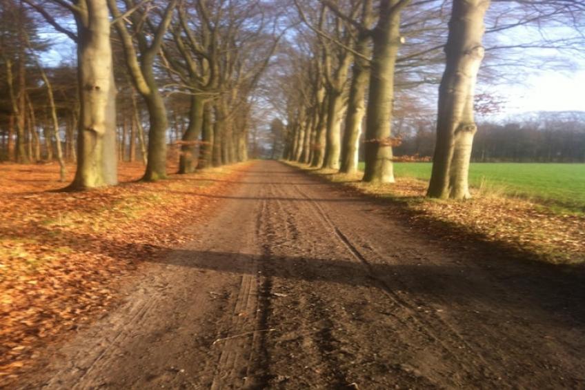 De Hagmolenbeek Boekelo - foto 8