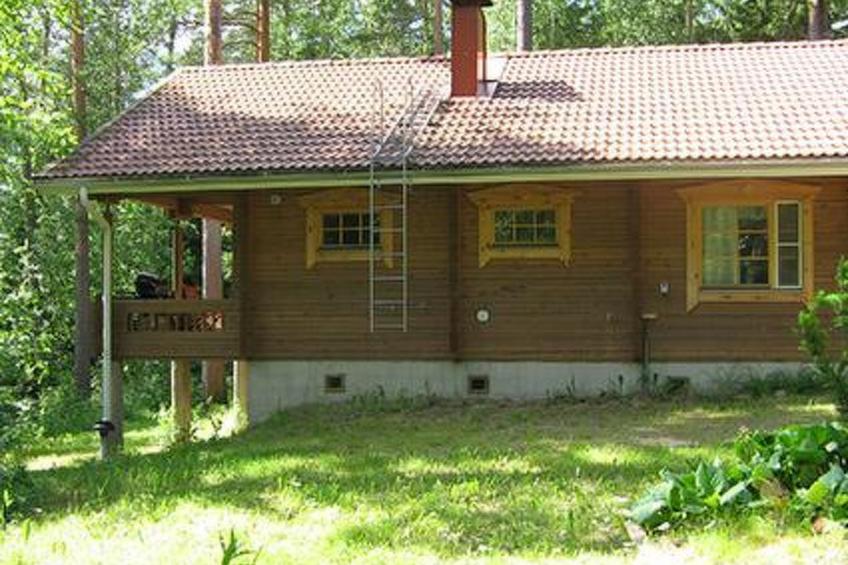 Mustikka - foto 19